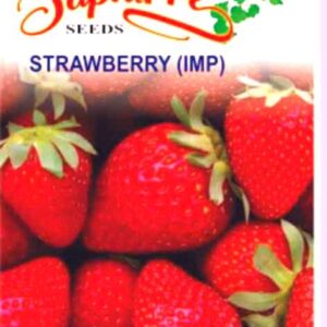 1 Packet Saphirre Fruit Seeds Strawberry Seeds 40 Plus Seeds cake ordered online in Kathmandu, Nepal